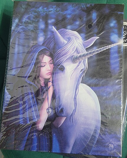 Canvas de Anne Stokes - Unicorn