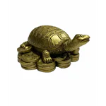 Broasca Țestoasă Feng Shui – simbol de longevitate și protecție