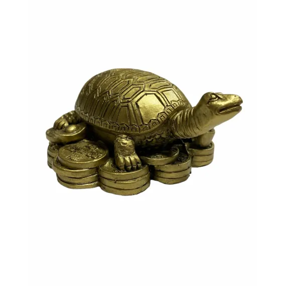 testoasa pe monede Broasca Țestoasă Feng Shui – simbol de longevitate și protecție - imagine 1